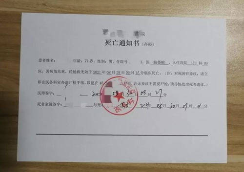 市场地位证明书怎么开具模板图片大全下载
