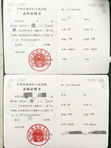 市场地位证明书怎么开具模板电子版：一文教你轻松搞定