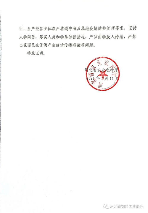 市场地位证明书怎么开具流程图片大全下载