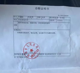 市场地位证明书的开具及书写技巧，让你轻松拿下市场认可！