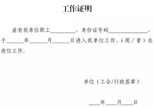 如何快速获得市场地位证明书？模板下载助你一臂之力！