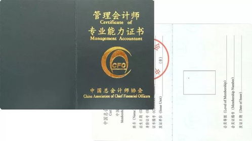 市场地位证明书法律效力：为企业发展注入强大动力
