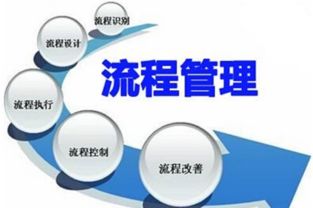 流程管理：提升效率与创新的关键力量 高层管理知识 第2张