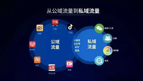 做私域引流话术有哪些内容？全方位揭秘，助你轻松获得精准流量