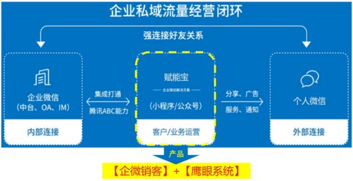 私域引流宝使用教程：轻松打造专属流量池