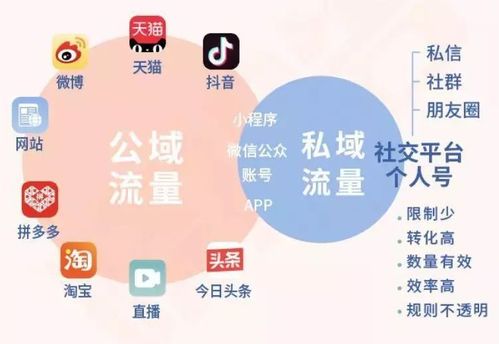 什么叫做私域运营？揭秘这一营销新趋势