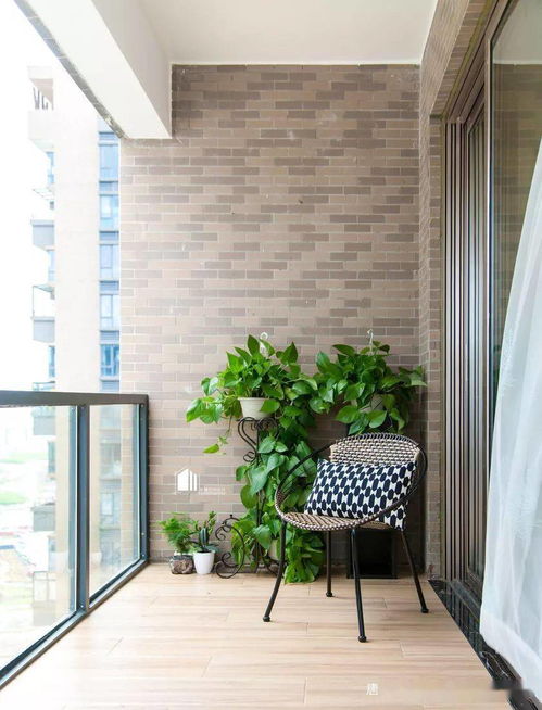 三角洲免费挂 锁头 透视下载安装，三角洲百度百科