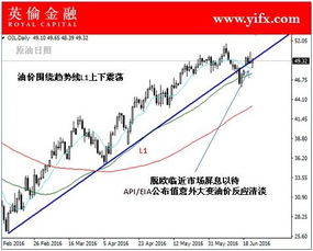 （国内期货直播交易）