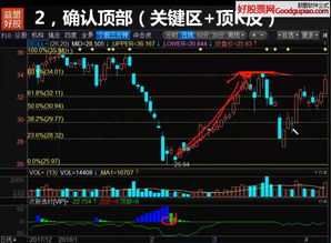 黄金实战教学直播——解锁黄金投资的财富密码