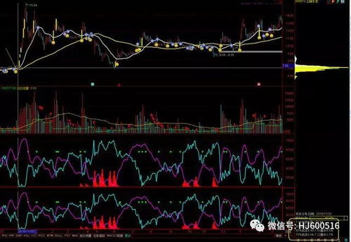 散户脱坑指南！3分钟看懂筹码峰玄机（图解实战）