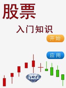 新手小白炒股全攻略：从零到一的财富之旅