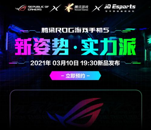 纳指直播室实盘操作分享：把握科技股脉络，实现稳定收益的秘密