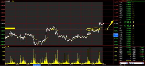 国际期货直播室早盘策略：掌握行情先机，赢在每一天