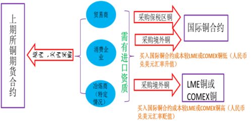 国际期货直播室数据解读：把握市场脉搏的黄金钥匙