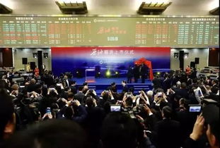 原油期货直播室培训：开启你的财富新引擎