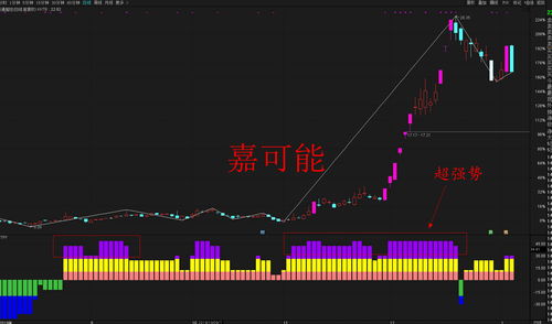 纳指期货直播室战法讲解——掌握高效盈利密码
