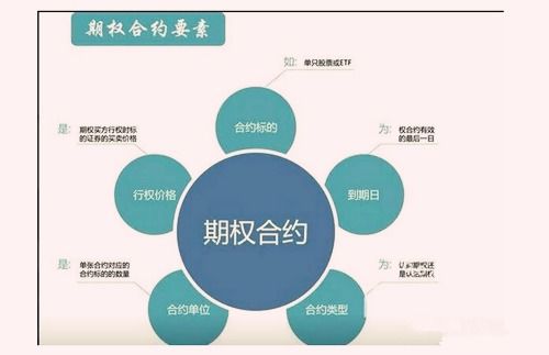 道富期货直播室期权交易技巧全解析——掌握高效策略，赢在未来