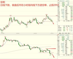 期货之家直播波段交易策略——稳健获利的秘密武器