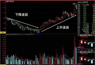 华富之声期货直播室股指期权波段实战交流——开启你的投资新纪元