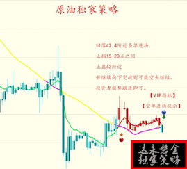 天然气行情决策：趋势跟踪与风险，天然气市场趋势