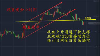 黄金价格在美联储决议前稳定；周度疲软趋势显现，黄金实时价格美元