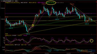 道指期货短线交易机会提示，道指期货暴涨