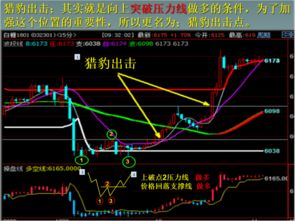智慧交易，掌控未来——探索高效期货交易系