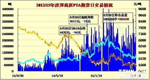 PTA期货：抓住投资新机遇，赢在趋势前沿