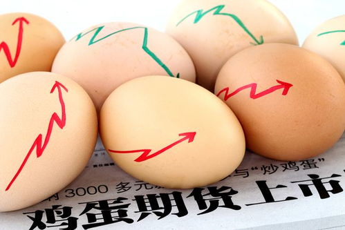 鸡蛋期货投资新机遇：如何把握市场动向获取