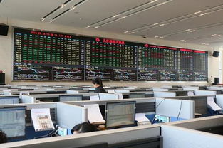 大连期货交易所：中国大宗商品市场的核心引