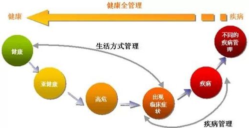 <p>一、交易前的风险评估与计划制定在每一次直播前，务必明确当天的市场状况、重要经济事件、技术分析信号和潜在风险点。制定详细的交易计划，明确进场理由、仓位大小、止损止盈位置以及预期目标。这