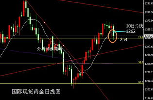 美债市场延续高位震荡 金价重挫后温和反弹
