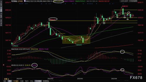 美联储的降息预期升温 金价承压走势回落