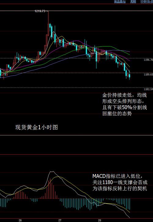 金价关键区间未打破 保持高位拉锯震荡