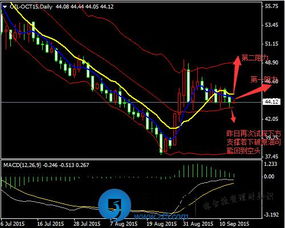 [原油] 2025年9月16日原油价格走势分析