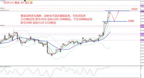 金汇期货开户_深圳金汇期货预约开户流程-期货开户-期货之家直播室-华富之声直播室