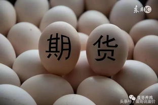 鸡蛋期货 | 鸡蛋：蛋价小幅反弹 但整体