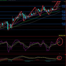 白银多空力量分析直播间：波段交易指导，白银多空持仓量查询