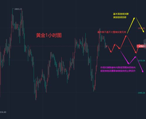 白银实盘策略分享直播室：日内风险控制，白银直播室24