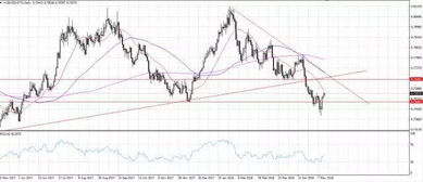 “全球贸易紧张局势加剧，外汇期货市场波动性上升”