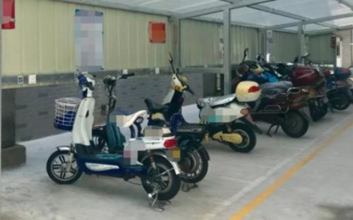 “镍市场波动性上升：电动车驱动 vs 替