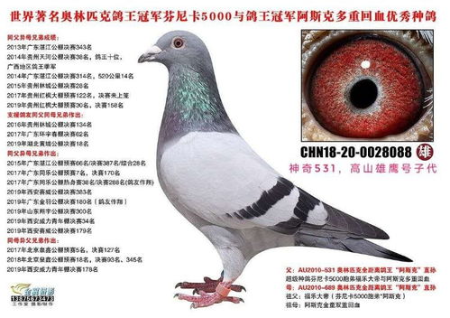 “鸽”声还是“鹰”啸？美联储一哆嗦，期货