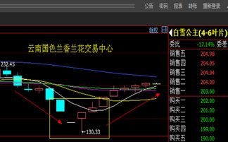 【量价关系揭秘】放量上涨与缩量回调背后的主力意图