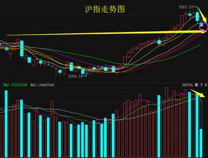 【期货直播室·午间连线】12:30 复盘上午异动，研判午后机会