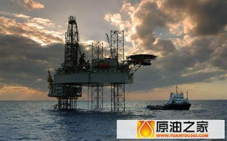 国际原油市场多头氛围浓厚，国际原油市场介绍