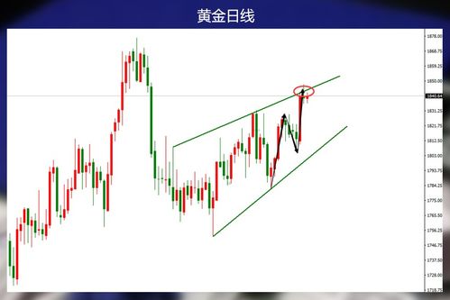 黄金原油剧烈波动，老师在线稳住军心，实时策略分享中。