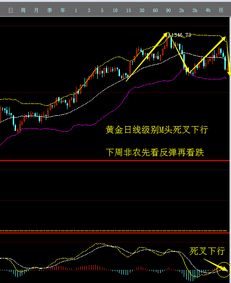 《一周复盘》周末直播：黄金原油纳指德指得失总结与下周展望