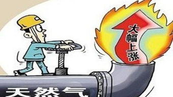【新人专区】期货之家新手入门：期货交易基础常识