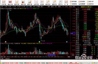 《华富之声指标解析》MACD、RSI等指标的高级用法