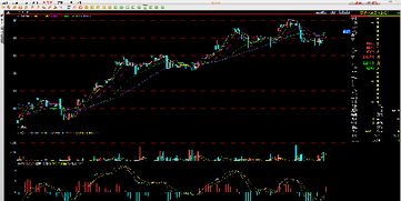 【风控课堂】期货之家止损策略：科学设置止损止盈